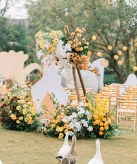 �ڻ����ϡ����㡱����԰�������Ϸ�Ƽ�