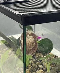 [�Ƽ�]���óǵĻ�������ݣ�ϲ�������С���ѿ��Գ壡