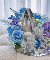 ��������blingbling��Ь��