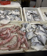 260Ԫ/����������ˣ�̨���������ڣ�����Ҫ�ȵ�����