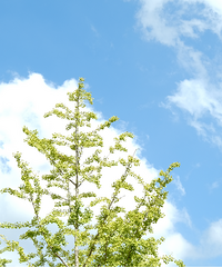 ����13ʱ52�֣�̨����ʽ���롭��