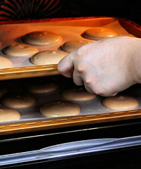 �ɿ��������̱�حŨ����������������˿յ�