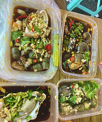 ��2025�μǡ�������ĩ�μǣ�û������ֻ�л���