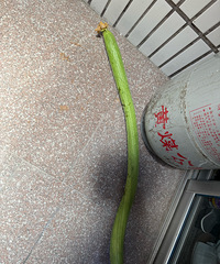 һ��˿�����Ͷ��Բ��������û