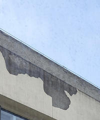 �⹤������