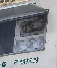 �������������ô��