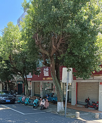 �����ⲻ�����ӣ������ο��ص���Щ���ڽ�ȵ�֡�