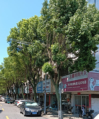 �����ⲻ�����ӣ������ο��ص���Щ���ڽ�ȵ�֡�