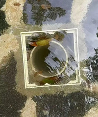 ͻ������������6��Ůͯ��������ס������ƴ��ȫ��ȴ�Ȳ���