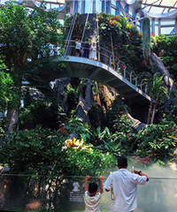 �Ϻ����һ�԰