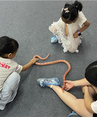 ���óǵĻ��������