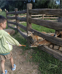 ����Ķ���԰