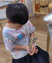 ��Ѫ�����ع�