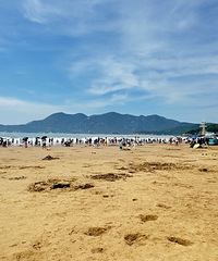 ��ɽ��������Ҽ���ɳ����ĺö��˰�