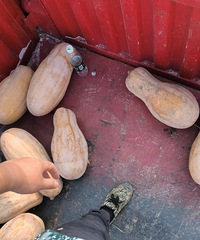 ���������ڵ���ɻ������û��