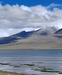 �������׿ľ���գ�һ��������Ȼ