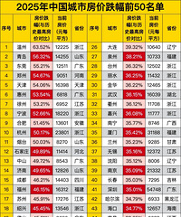 2025���й����з��۵���ǰ50����