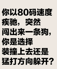 80�ٶȼ���ͻȻ������������ѡ��װײ��ȥ�����ʹ���㿪��