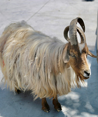 ��2025�μǡ�����׳־ȥ���ϣ�һ���߷��ͷ���