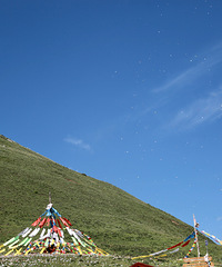 ��2025�μǡ�����׳־ȥ���ϣ�һ���߷��ͷ���