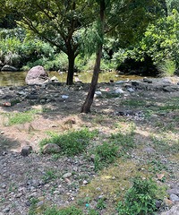 ����ʮ��̶����������Ұ���������������