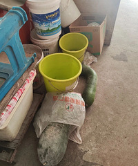 �ٺ�����������ڰ��漰����������̡����￾���տ�������