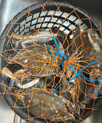 �������ʲô������ĵ�һ�ٰ�з������