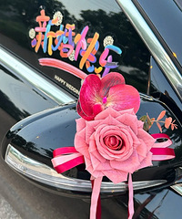 DIY�鳵���ֻ�