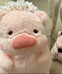 ѹ������