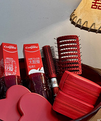 ���������ָ߼�