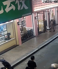 ֱ���ٺ���ͷץ���ֳ������컯�������֡��ɹ�����