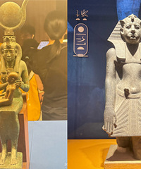 ȥ������Ҫ�����˵İ�����չ