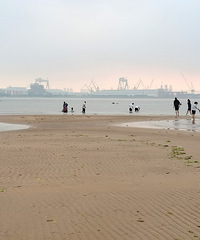 ��2025�μǡ�ɽ����������ͷ