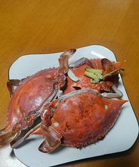 �������ʲô��38һ�������з