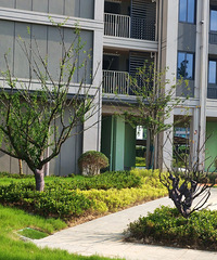 320�ף��·�Ҫ���ˣ�