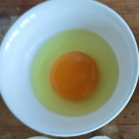 ӫ��ɫ�ĵ��м�����