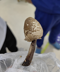 �������ѣ���Ҫ�ԣ�̨��Ů������һ��ȴ�Ѽ����ͽ�ҽԺ����