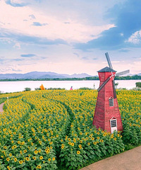 �ո�ȷ����ƾ̨������֤����Ʊ