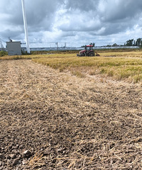 ���ϴ�Ӧ�ĺð��������ϣ��������Ƶøɸɾ���