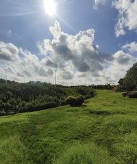 ���ϴ�Ӧ�ĺð��������ϣ��������Ƶøɸɾ���