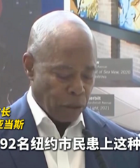 ����ŦԼ��������