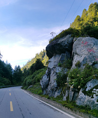 ϲ������ɽ���µľ�ɫ�����Ƕ����Ű��ľ���