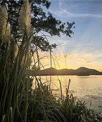 �������