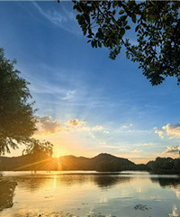 �����ĺ������������