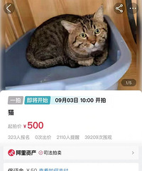 ��ü���һֻ�껨è��������Ϊ���˵�ծ