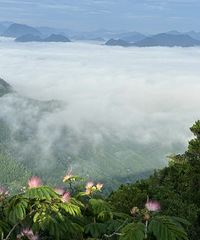 ��һ������ȥ��ɽ��������˵���������������һ��