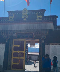 ���ž��������Լݣ��˶������ž������տ���