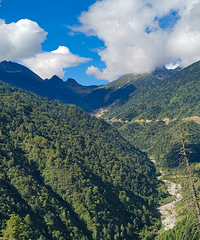 ���ž��������Լݣ��˶������ž������տ���