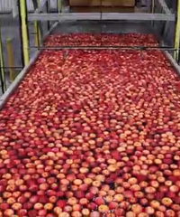 9Ԫ/����̨���״Σ��Ի����и��ˣ�