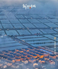 ����йѹ������������ĺ�����壬��������ֳ�����